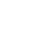 Ali Customs logo