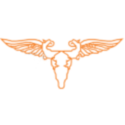 Camouflage logo