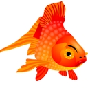 Premiumarowanashop logo