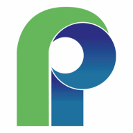 Patrick Internet - Web Hosting logo