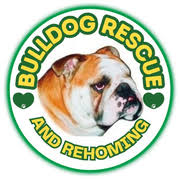 Bulldog Rescue logo