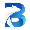 Bear Pro Cleaners logo