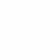 Tinytags logo
