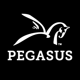 Pegasus logo