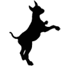 The Wags Club logo