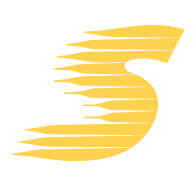 Streetwise Driving School logo