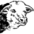 William Rose Butcher logo