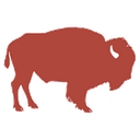 buckwildbison.com logo