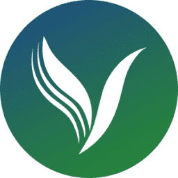 vitalitypt.ca logo
