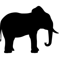 SAFARI FRANK logo