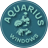 Aquarius Window Cleaners logo