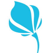 villasbarbados.com logo