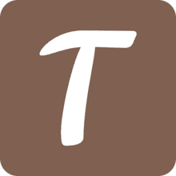 Star Town Bag logo