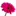 Worldfloristassociation logo