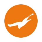 Falcon Health logo