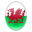 Reddragonseeds logo