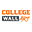 collegewallart.com logo