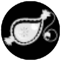 Noorvacci logo
