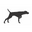 Victoria Armstrong Collection logo