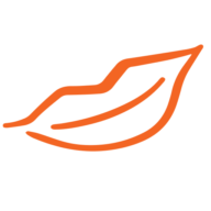 Smiledentalpractice logo