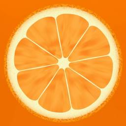 orangeoutfits.com logo