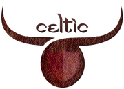 Celticindia logo
