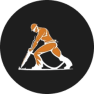 Strip It Out logo
