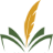 Golden Wattle Publishing logo