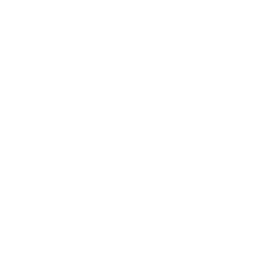 Wild Vision logo
