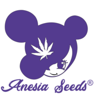 Anesiaseeds logo