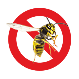 Pestech Pest Solutions logo