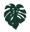Quirkyplants logo