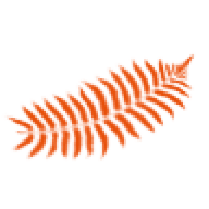 Newzealandtrends logo
