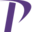 Pioneer Business logo