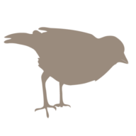 Moores Furniture Group logo