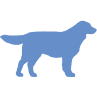 caninetofive.com logo