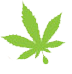 CBD Oil Supplies logo