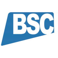 Blue Sapphire Consultancy ltd logo