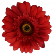Eccleston&Hart logo