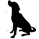 Spirit Ranch logo