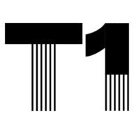 Team 1 construction Ltd logo