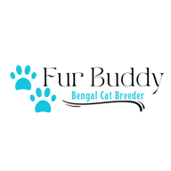 Tayloreddachshund logo