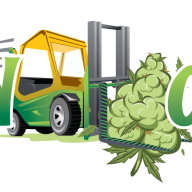 budcargo.ca logo