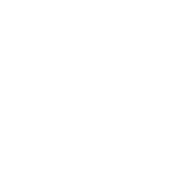 wallingtoncars.com logo