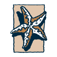 Star Team Real Estate logo