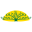 naturesway.com.au logo