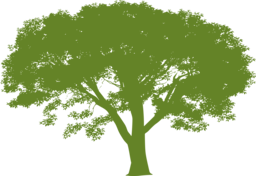 Lindsey Tree Services Ltd logo