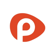 Punjani Inc. logo