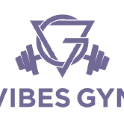 Vibes Gym logo