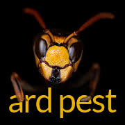 Ardherefordpest logo
